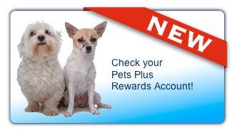 home-store-rewards.png